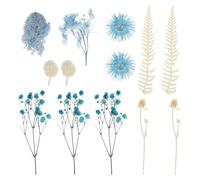Baluue Boîte de Fleurs Séchées Naturelles Délicates pour Cadre Photo Fleuri, Kit DIY Décoration D’Objets Artisanaux, 1 Boîte Compacte pour Création Cartes et Ornements Floraux