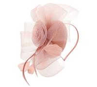 Baluue Fascinator Vintage Tulle Avec Plume Accessoire Élégant Pour Mariage Tea Party Et Événements Formels