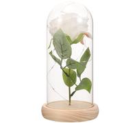 Baluue Rose Éternelle sous Cloche en Verre Base en Bois Clair Décoration D’Intérieur pour Saint-Valentin Fleur Préservée Blanche Ornement Floral Intemporel et Élégant Présent