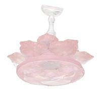 Baluue Support à Ongles Magnétique Plateau D’entraînement Taille Moyenne, Porte-ongles Transparent en Acrylique Irisé Motif Floral pour Manucure Débutants et Professionnels, Usage Salon