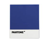 Balvi Dessous-de-Plat Pantone Couleur Bleu Dessous de Plat Design résistant à la Chaleur Ustensile de Cuisine Original antidérapant Silicone 0,4x14,2x15,5 cm Taille Unique