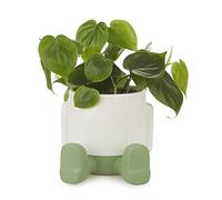 Balvi Pot de Fleur MrSitty Couleur Vert et Blanc Pot en Forme de Personage sympathique avec récipient