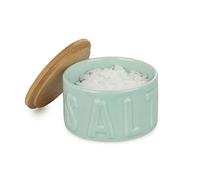 Balvi Salière Fleur de sel Salt Couleur Turquoise Salière avec Couvercle pour la Cuisine Céramique/ba