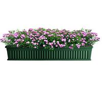 Bama Iris Jardinière avec Soucoupe, 60 x 18.5 x 16.5 cm 100 cm Green