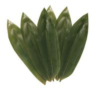 BambooMN Lot de 100 feuilles de bambou pour la cuisson Zongzi, alternative à la feuille de banane, grille/barbecue, sacs d'ébullition naturels - 31,4 x 8,9 cm
