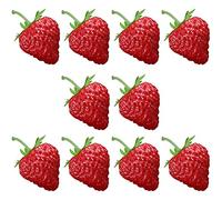 Bamboopack Lot de 10 fraises artificielles réalistes en plastique pour décoration de table de fête ou de Noël