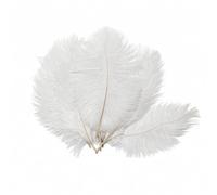 Bamboopack Lot de 50 plumes d'autruche naturelles de 15,2 à 20,3 cm - Accessoires de performance pour décoration de Noël, costumes d'arbre, coiffes, fête de mariage, maison