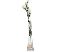 Bamboopack Petit vase en verre soufflé fait à la main à tige unique pour fleurs et bourgeons de bureau, décoration d'intérieur (transparent)