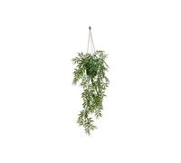 Atmosphera - Plante sups Bambou Liora h67