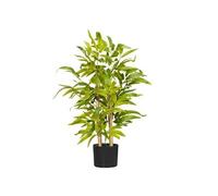 Bambou artificiel H. 60 cm feuilles denses réalistes pot inclus noir avec lichen vert