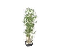 Bambou dans bol, artificiel, 150cm