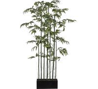 Bambou Paravent "Mix" avec 7 plantes et tronc naturel - 150 cm de haut, facile d'entretien