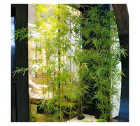 Bambou Plante Artificielle 1,2 1,5 1,8 2,1 2,5m Simulation Bambou, Bambou Artificiel Facile À Assembler Démonter, Plantes Artificielles pour Jardin, Bureau, Terrasse(80 pcs,2 1/2 m(8.2 ft))