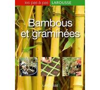 Bambous et graminées