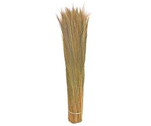 bambus-discount.com De Fougères, Naturel, Hauteur 100 cm, diamètre env. 10 à 15 cm