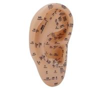 Bamjour Modèle de Points D'acupuncture Modèle de Massage de la Zone Auriculaire Tableau D'acupression avec Points D'acupuncture Clairement Marqués pour L'apprentissage Traditionne