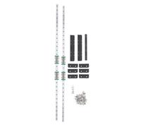 Bamjour Rail Linéaire Kit Y Axes Rail Linéaire Kit pour Imprimantes 3 et 4 | kit imprimante 3D en acier à haute teneur en carbone mouvement stable installation facile Acier à haute teneur en carbone,