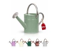 Bamworld Arrosoir d'intérieur en Acier Inoxydable pour intérieur et extérieur - Long Bec - pour arroser Les Plantes - 1,89 l - Vert crème