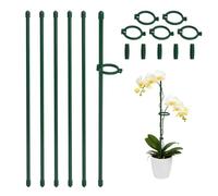 Bamworld Lot de 20 piquets de Support de Plantes de 30 cm à Longueur réglable pour Plantes d'intérieur et d'extérieur