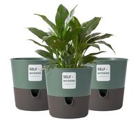 Bamworld Lot de 3 Pots Auto-arrosants pour Plantes Intérieures (16,5 cm) - Pots de Fleur Intérieurs avec Trous de Drainage Jardinières Modernes pour Décoration de Salon Plantes d'Intérieur(Vert)
