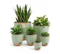 Bamworld Lot de 6 pots de fleurs auto-irriguants Vert 12,7 cm 14 cm 15,2 cm 16,5 cm 17,8 cm 20,3 cm Pot pour plantes d'intérieur seuil
