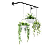 Bamworld Support de Plantes d'intérieur à Suspendre pour Plantes d'intérieur pour fenêtre, Plafond, Tige Flottante en métal Noir pour décoration Murale de Jardin, Salon, Cuisine (Pot et Plante Non