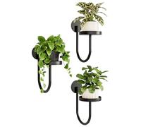 Bamworld Support Mural Plantes Lot de 3 - Étagère Porte-Pots en Métal Forme en U pour Salon & Balcon, Décoration Murale Suspendue (Noir)