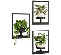 Bamworld Support Plantes d'Intérieur Porte Plante Mural - Lot de 3 Étagères Suspendues pour Fenêtre avec Porte Pots Design, Présentoir Mural pour Pot de Fleurs et Décor Maison (Breveté)