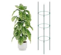 Bamworld Support pour Plantes grimpantes - Grand Treillis de Jardin - Cage à tomates - 120 cm