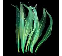 BANAN Silicone artificiel décoration d'aquarium haute simulation plantes aquatiques algues aquariums algues silicone plantes d'aquarium algues plantes d'aquarium algues algues plantes d'aquarium