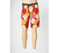 banana moon shorts / bermudas femme de couleur marron