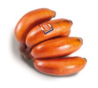Bananes Rose des Antilles, Fruit Exotique Frais, Rose Pourpre, 500g