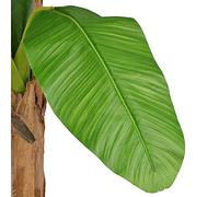 Bananier artificiel avec pot de 250 cm, tiges en bois véritable, 21 feuilles, plante artificielle facile d'entretien pour bureau, salon, balcon et jardin, résistant aux intempéries et décoratif