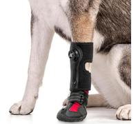 banapoy 2026 Mise à Niveau Sangle sur L'Attelle de Pied Tombant (sans Attelle Botte d'articulation) pour Chiens, Chaussure Protection Pied Botte Chien Respirante avec Semelle (XL)