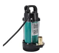 banapoy Pompe de Carter de 300W, Porceau de Puits en Profondeur Pompe à Eau Submersible électrique avec Câble 23ft, 18 Gpm, 1in Joint, pour un étang de Jardin, Piscine, Bain Remous (DC12V)