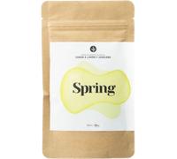 BANBU Dentifrice en Poudre - Recharge - Spring