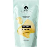 BANBU Recharge de Comprimés Dentifrices - Spring