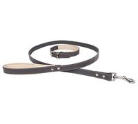 Banbury & Co Ensemble Collier et Laisse pour Chien