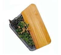 Banc de Jardin Chaises de Parc d'extérieur, bancs géométriques en Forme de Pots de Fleurs, jardinières en Acier Inoxydable, bancs de Loisirs carrés Modernes Banc extérieur