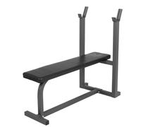Banc de musculation - GYRONETICS - E-Series - Banc plat fixe avec chandelles - Noir / Gris - Acier
