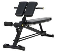 Banc de Musculation Réglable Chaise Romaine en Acier pour Entraînement Abdominal et Dorsal Banc Musculation Noir Noir