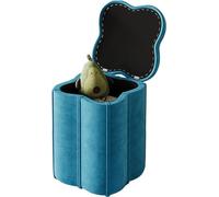 Banc de rangement rembourré avec couvercle amovible, tissu velours, repose-pieds mobile pour salon, chambre à coucher et entrée