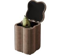 Banc de rangement rembourré avec couvercle amovible, tissu velours, repose-pieds mobile pour salon, chambre à coucher et entrée