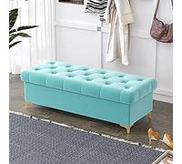 Banc Ottoman Luxueux avec Rangement,Banque De Rangement Rembourré en Velours Banc De Lit,Coffre De Rangement Moderne,Bleu Clair,60X40X40Cm(24X16X16Inch)