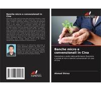 Banche Micro E Convenzionali In Cina