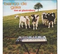 Banco de Gaia - Live at Glastonbury [Import]