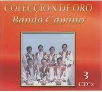 Banda Camino - Coleccion De Oro