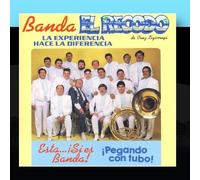 Banda El Recodo - Pegando Con Tubo