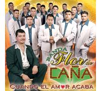 Banda Flor De Cana (Cuando El Amor Acaba) 413