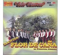 Banda Flor De Cana (Solo Mentiras)
